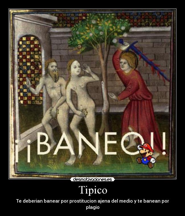 Tipico - Te deberian banear por prostitucion ajena del medio y te banean por plagio