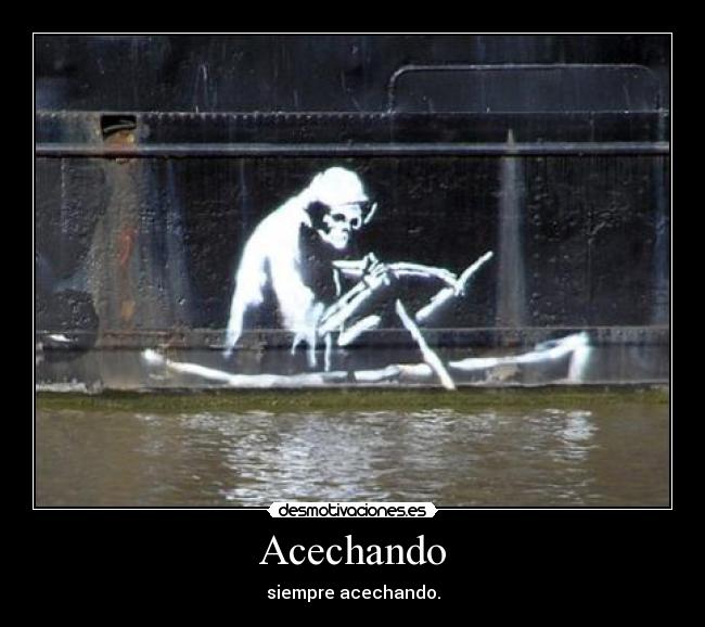 Acechando -