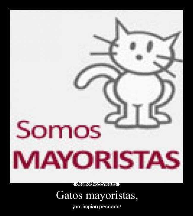 Gatos mayoristas, - ¡no limpian pescado!