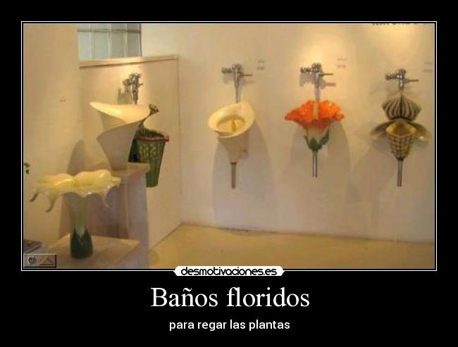 Baños floridos -