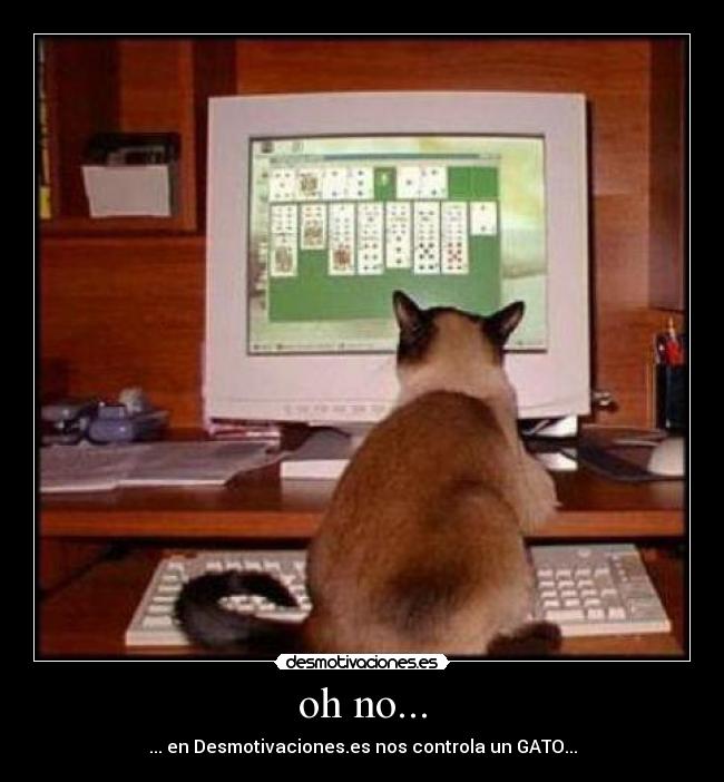 oh no... - ... en Desmotivaciones.es nos controla un GATO...
