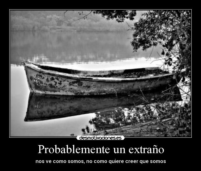 carteles sombra del viento desmotivaciones