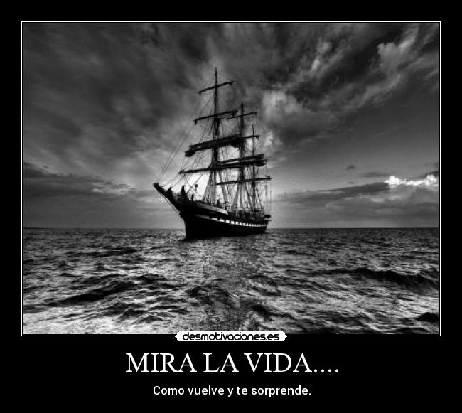 MIRA LA VIDA.... - 