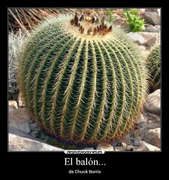 El balón... - de Chuck Norris