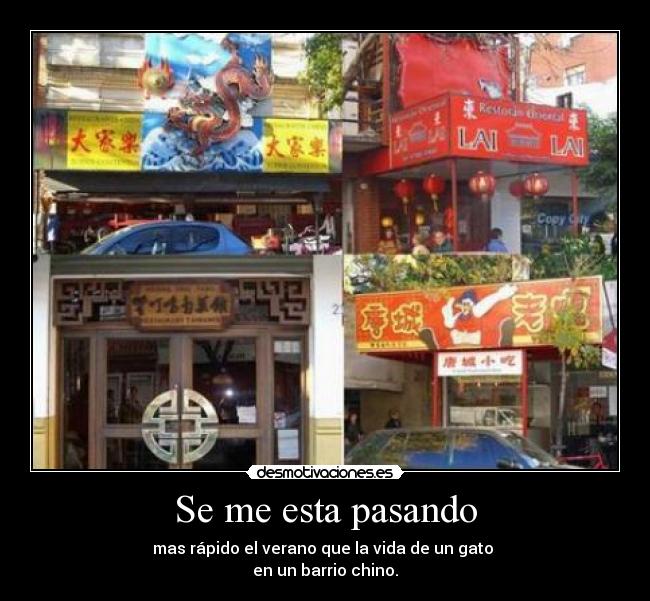 carteles chinitosss desmotivaciones