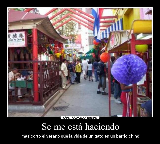 Se me está haciendo - más corto el verano que la vida de un gato en un barrio chino