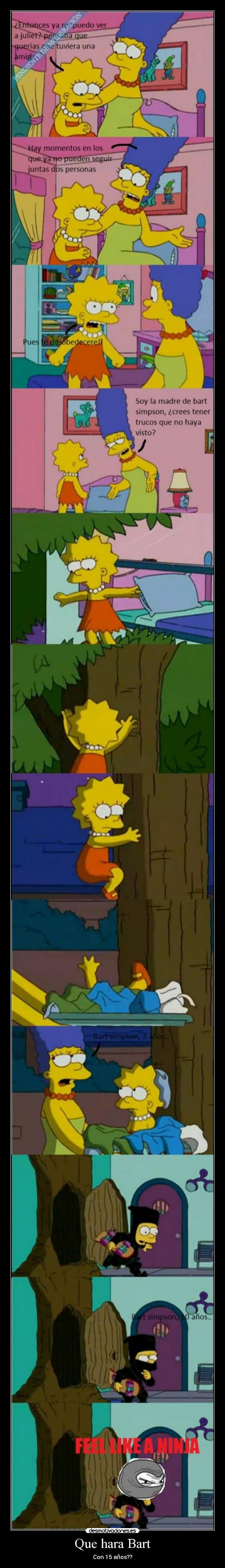 Que hara Bart - Con 15 años??