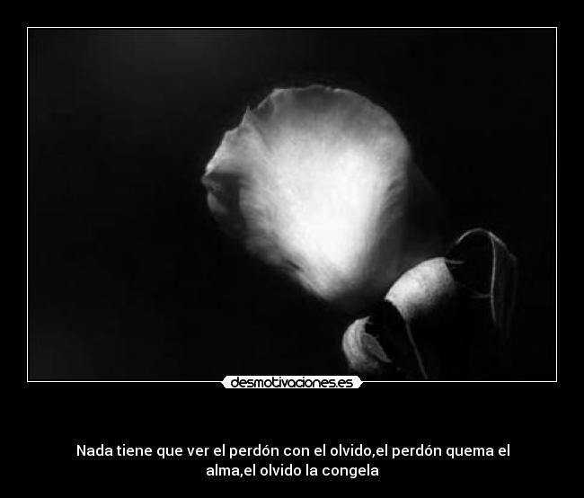   - Nada tiene que ver el perdón con el olvido,el perdón quema el alma,el olvido la congela