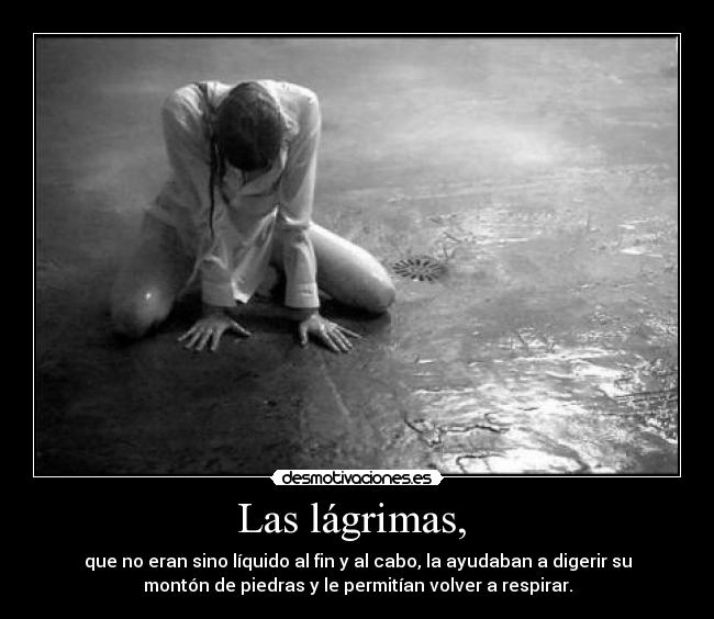 Las lágrimas, - que no eran sino líquido al fin y al cabo, la ayudaban a digerir su
montón de piedras y le permitían volver a respirar.