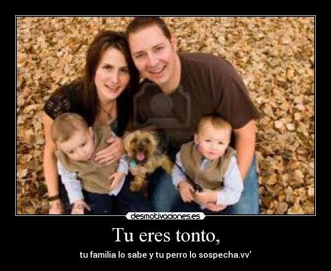 Tu eres tonto, - tu familia lo sabe y tu perro lo sospecha.vv