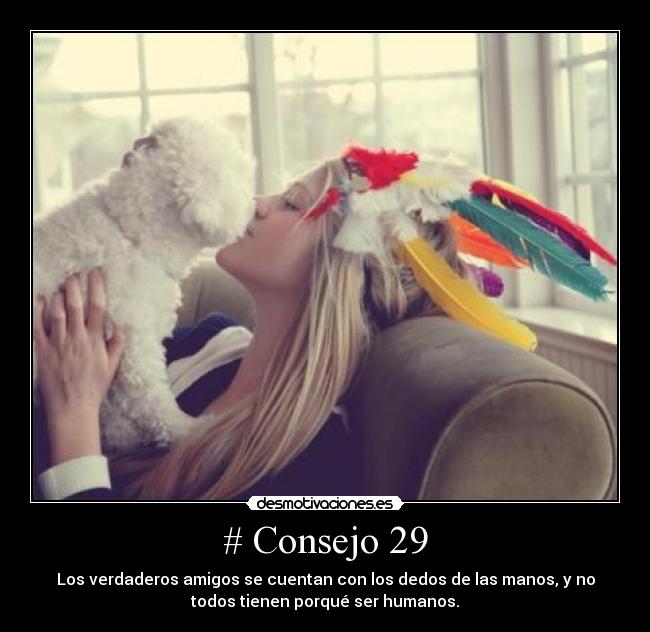 carteles verdaderos amigos desmotivaciones