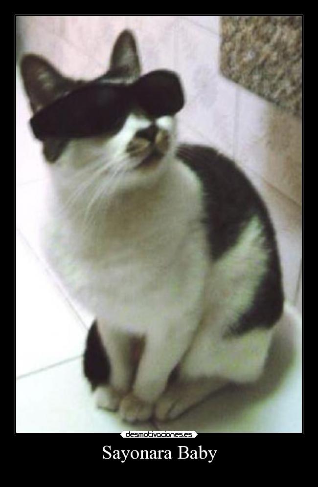 Sayonara Baby -