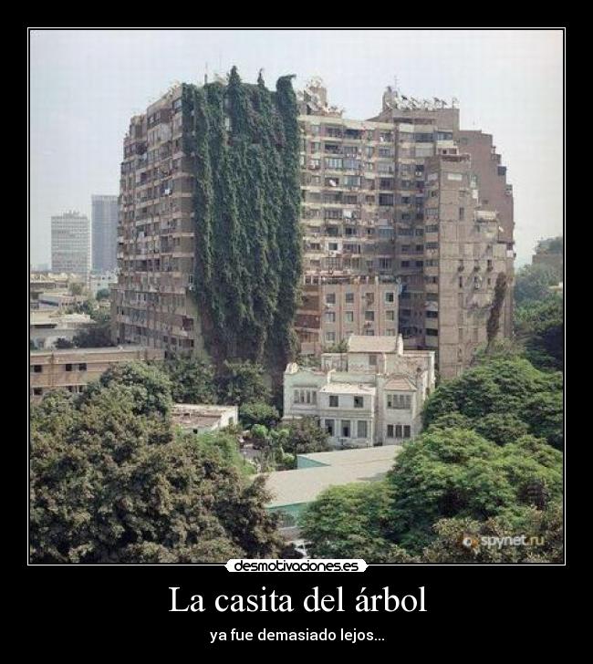 La casita del árbol -