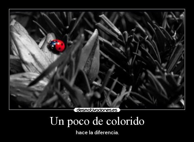Un poco de colorido - 