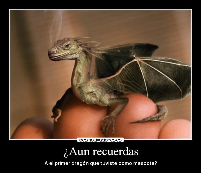 carteles dragon desmotivaciones