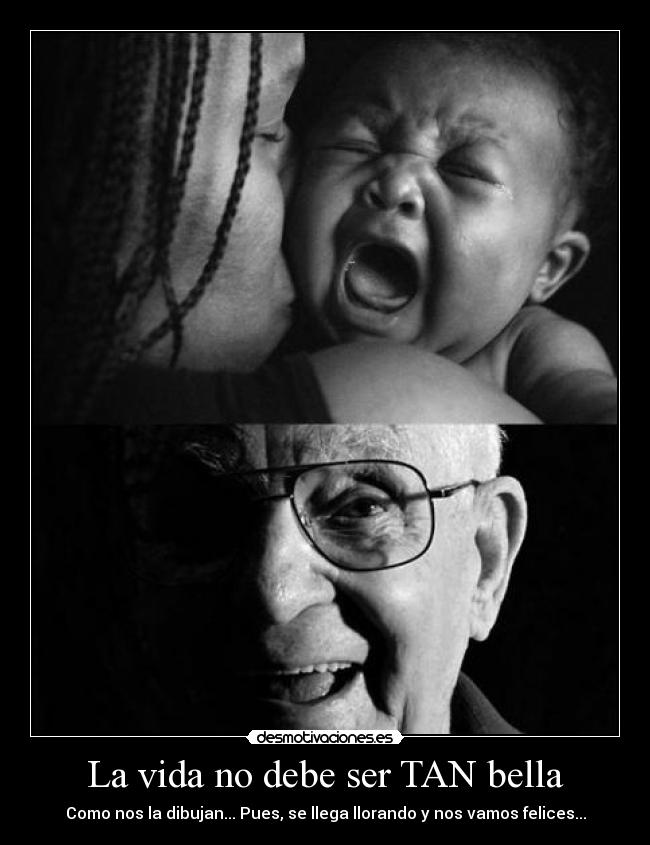 carteles vida sfsfd desmotivaciones