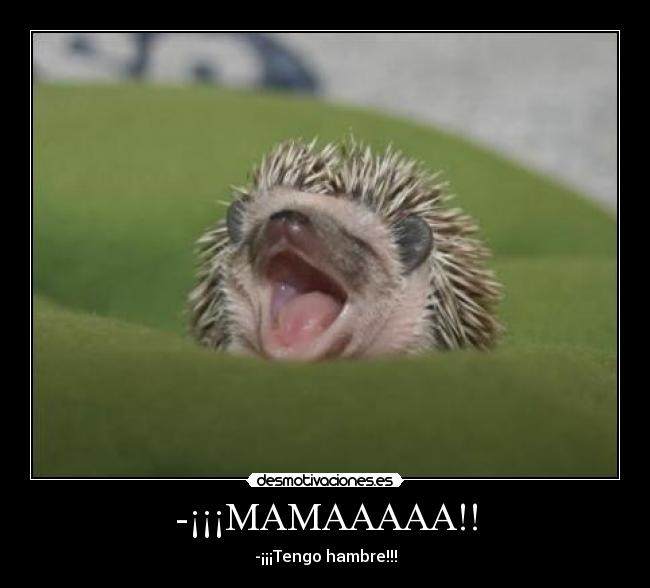 -¡¡¡MAMAAAAA!! - -¡¡¡Tengo hambre!!!