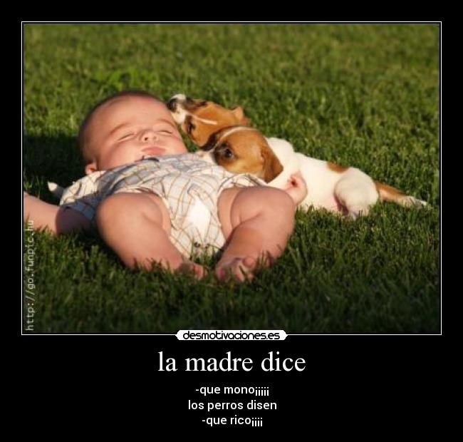 la madre dice - -que mono¡¡¡¡¡
los perros disen
-que rico¡¡¡¡