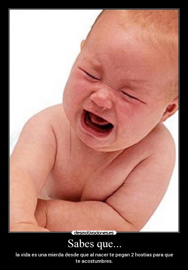 Sabes que... - la vida es una mierda desde que al nacer te pegan 2 hostias para que te acostumbres.