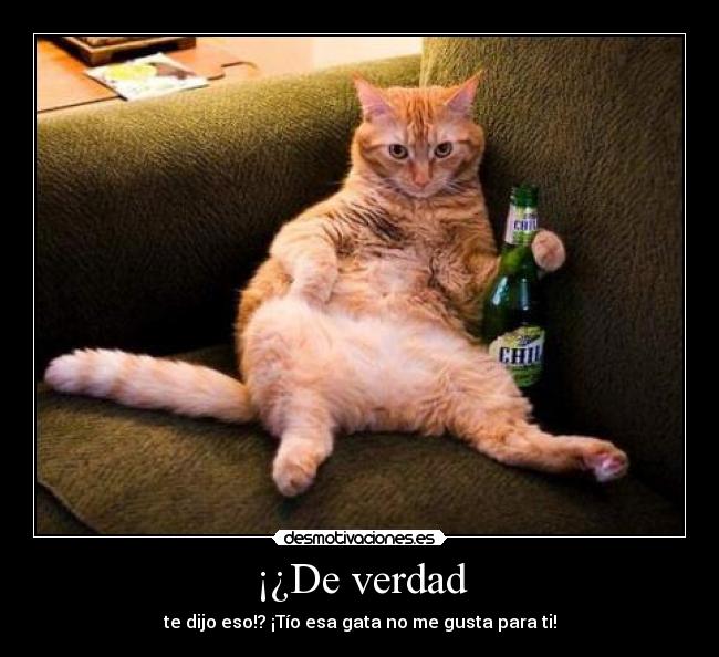 carteles mrscarface clanvirus desmotivaciones