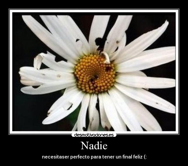 Nadie -
