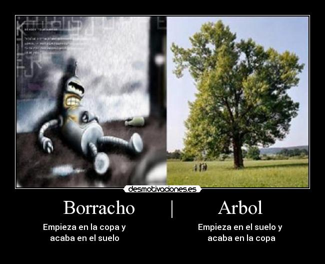 Borracho | Arbol -