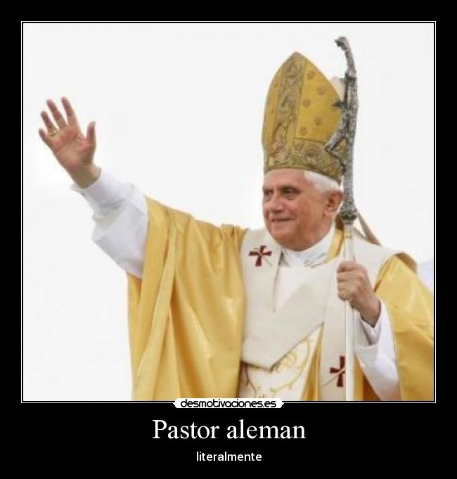 Pastor aleman - 