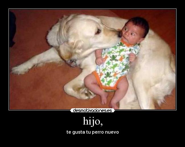 hijo, - te gusta tu perro nuevo
