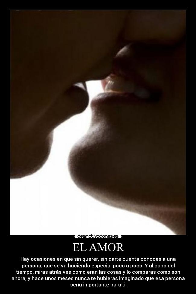 EL AMOR - 