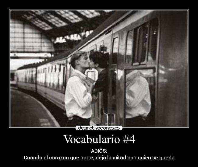 Vocabulario #4 - 