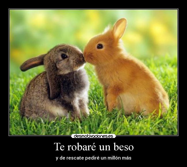 Te robaré un beso - y de rescate pediré un millón más