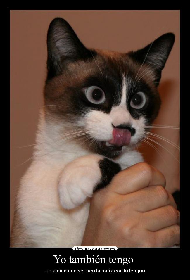 Yo también tengo - Un amigo que se toca la nariz con la lengua