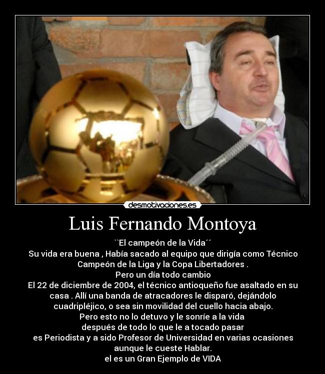 carteles grenoulle desmotivaciones