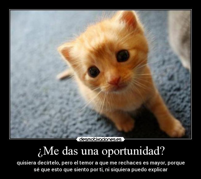 ¿Me das una oportunidad? - quisiera decírtelo, pero el temor a que me rechaces es mayor, porque
sé que esto que siento por ti, ni siquiera puedo explicar