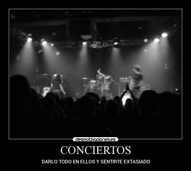 CONCIERTOS - DARLO TODO EN ELLOS Y SENTIRTE EXTASIADO