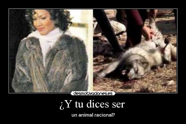 ¿Y tu dices ser - un animal racional?