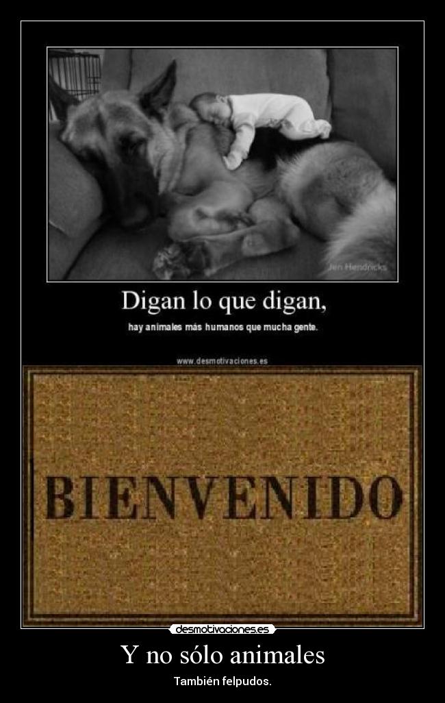 Y no sólo animales - También felpudos.