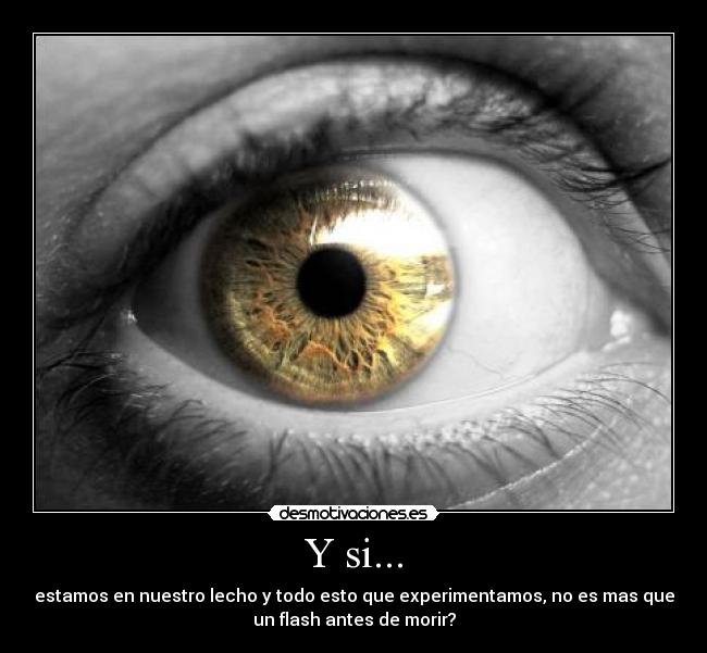 Y si... -