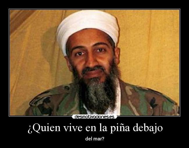 ¿Quien vive en la piña debajo -