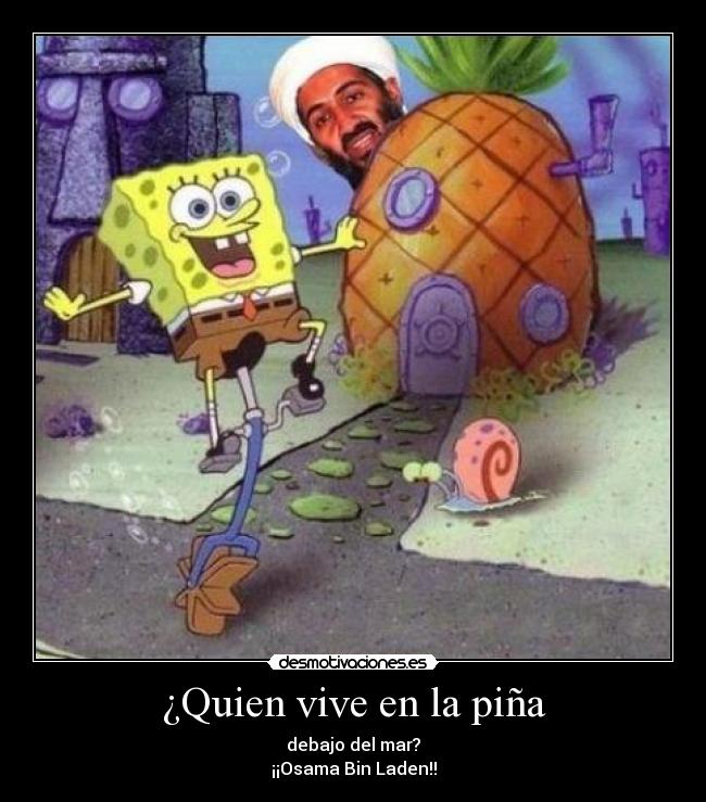 ¿Quien vive en la piña - debajo del mar?
¡¡Osama Bin Laden!!