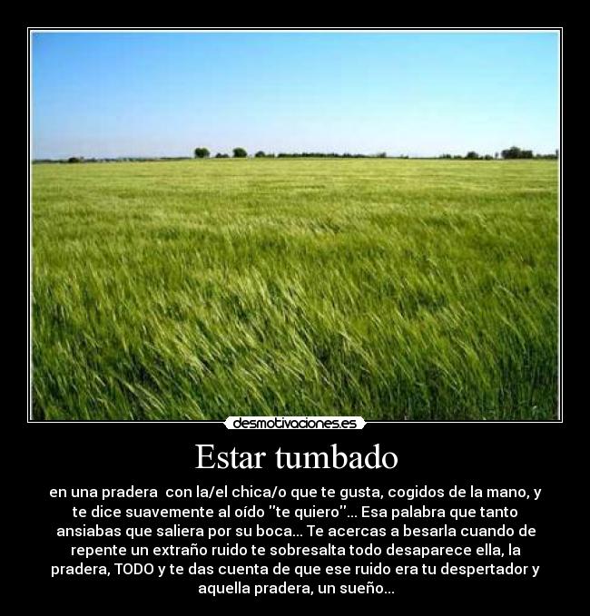 Estar tumbado - en una pradera  con la/el chica/o que te gusta, cogidos de la mano, y
te dice suavemente al oído te quiero... Esa palabra que tanto
ansiabas que saliera por su boca... Te acercas a besarla cuando de
repente un extraño ruido te sobresalta todo desaparece ella, la
pradera, TODO y te das cuenta de que ese ruido era tu despertador y
aquella pradera, un sueño...