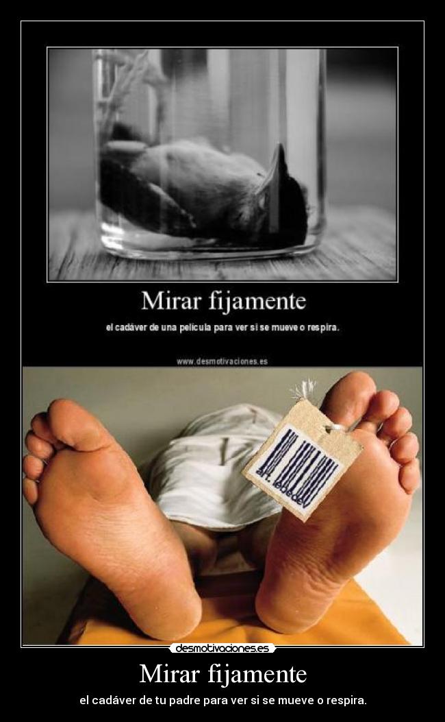 Mirar fijamente -