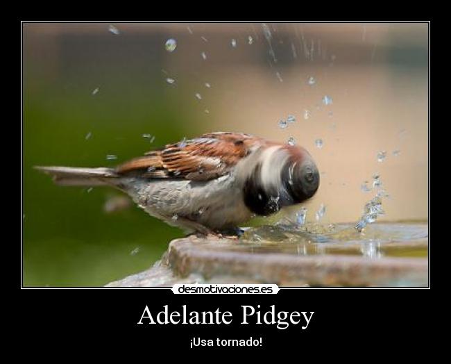Adelante Pidgey - ¡Usa tornado!