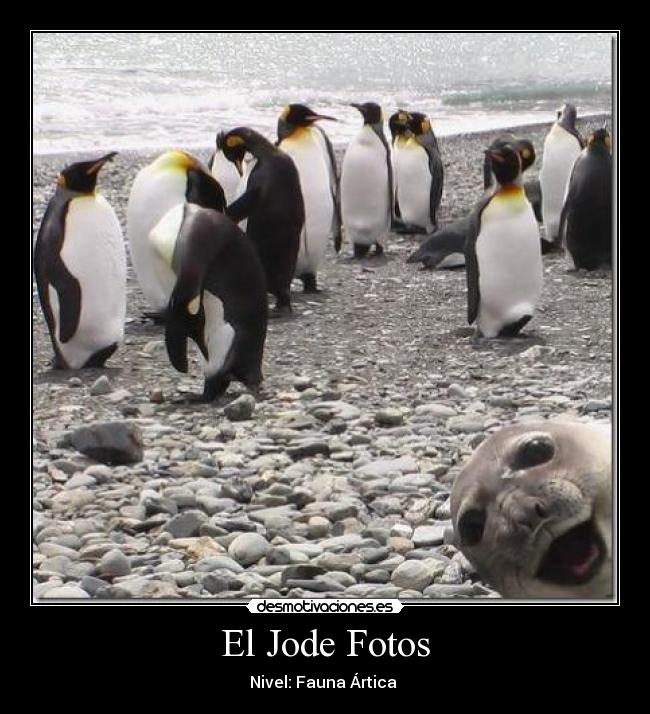 El Jode Fotos -