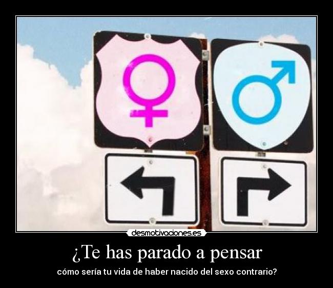 ¿Te has parado a pensar -