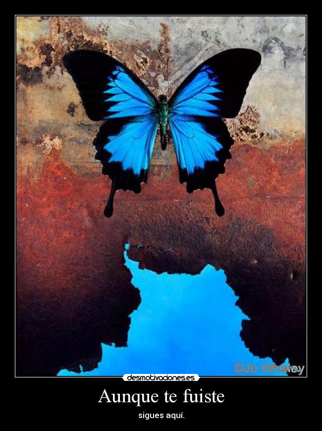 carteles aunque fuiste desmotivaciones