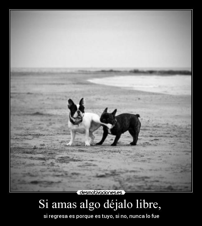 Si amas algo déjalo libre, -