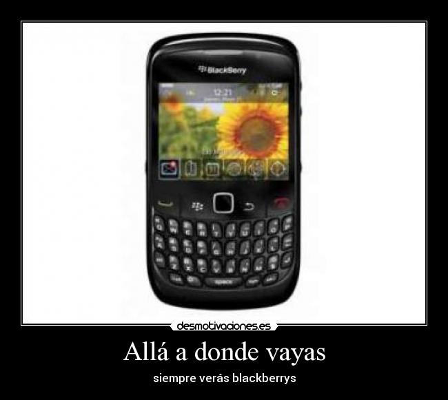 Allá a donde vayas - siempre verás blackberrys