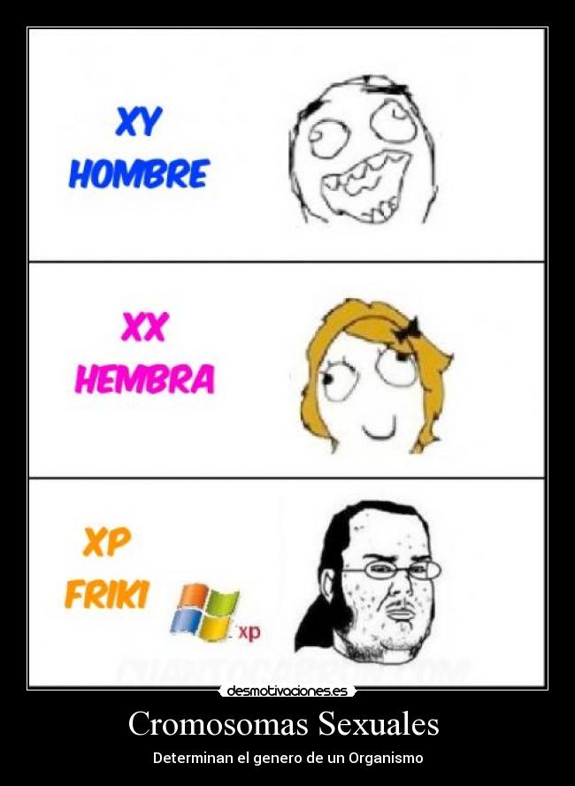 Cromosomas Sexuales -