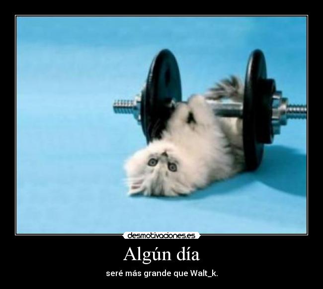 carteles gatoswalt_k desmotivaciones